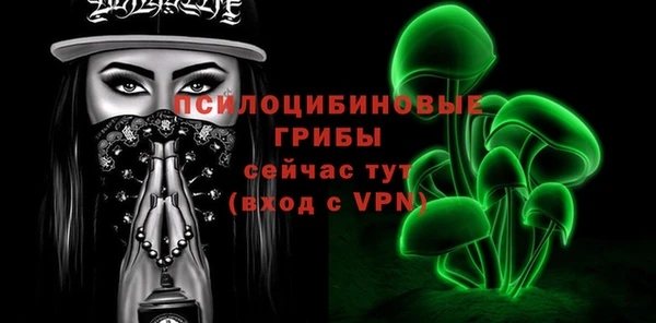 spice Алзамай