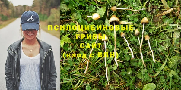 spice Алзамай